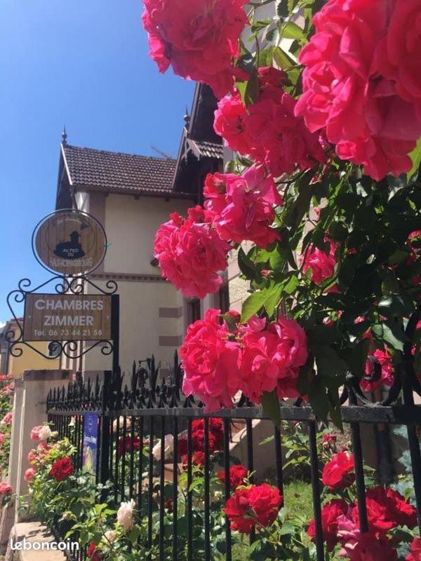 Gites Au Pied Du Haut-Koenigsbourg Kintzheim Eksteriør bilde